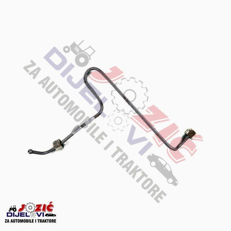 Daisy on the Ohoopee